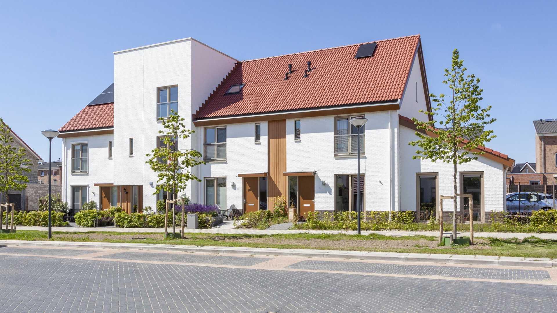 Allure Wolderwijd