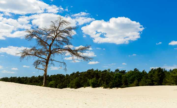 Lange duinen Soest