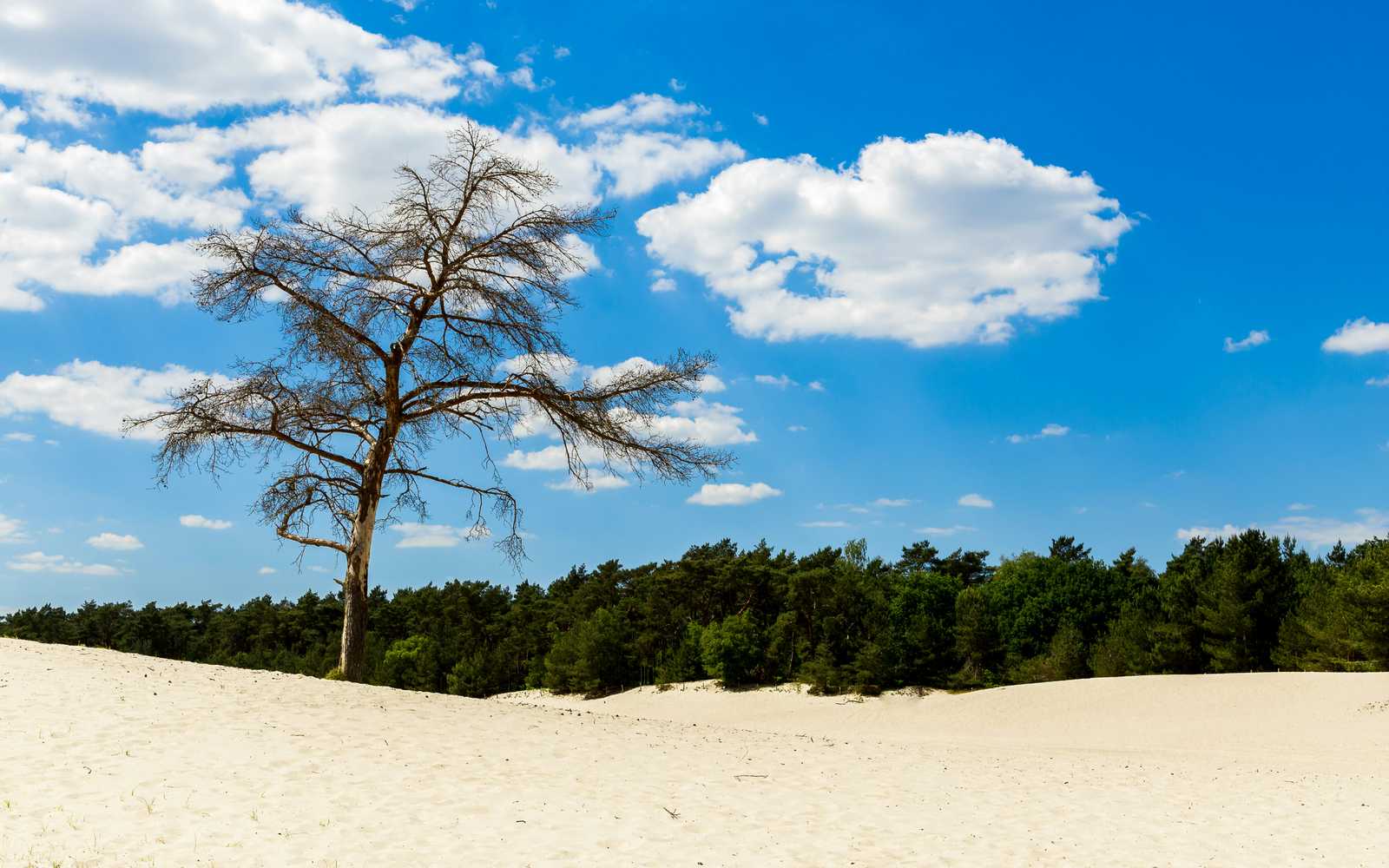Lange duinen Soest