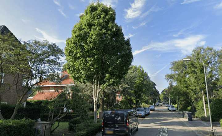Zeist