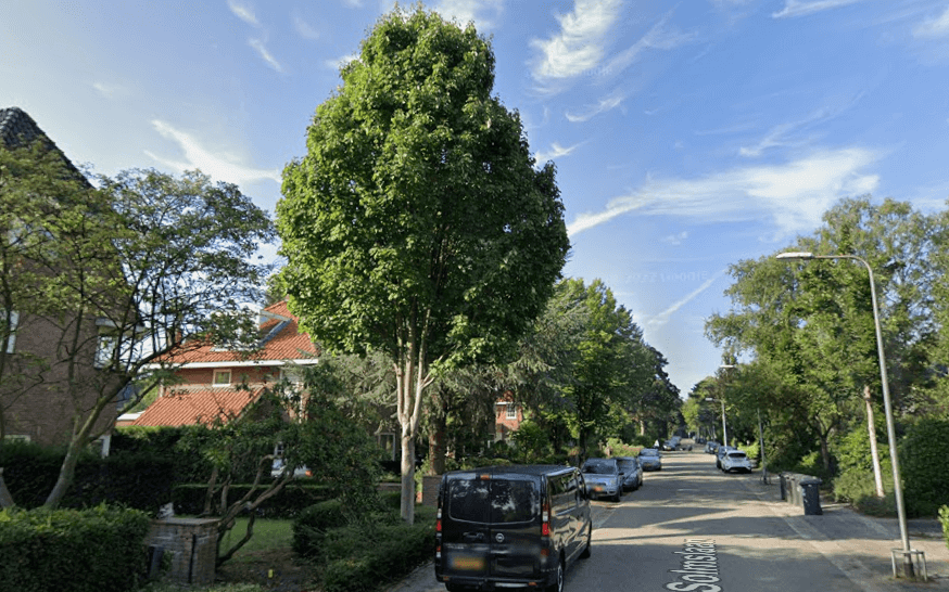 Zeist